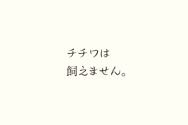 チチワは飼えません。