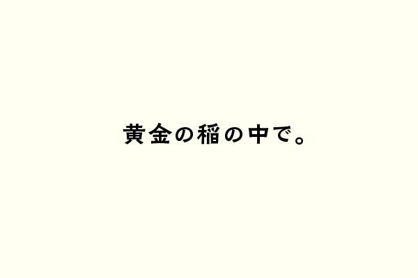 黄金の稲の中で。