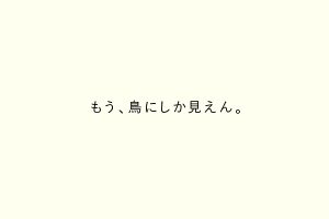 もう、鳥にしか見えん。