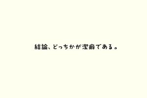 結論、どっちかが潔癖である。